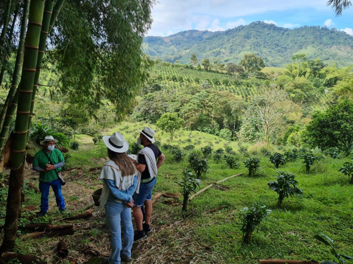 Finca Del Cafe - Casa Typica Санта-Роса-де-Кабаль Экстерьер фото